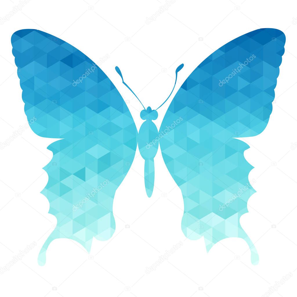 vector butterfly insect art white color 