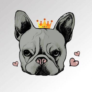 köpek vektör doğurmak şirin evde beslenen hayvan hayvan bulldog