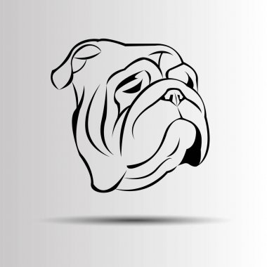 Bulldog İngiliz köpek doğurmak portre çizim yüz