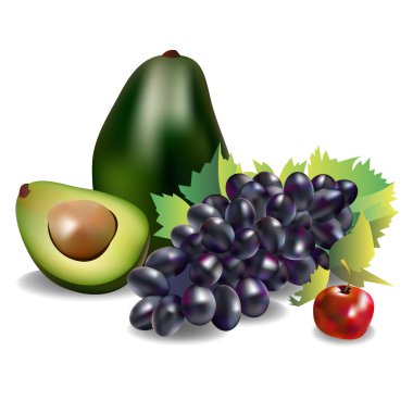 vektör meyve yiyecek üzüm asma taze