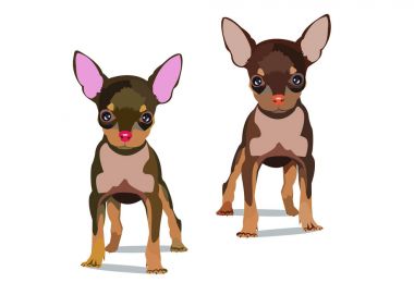 köpek vektör küçük çizim çizim bir evde beslenen hayvan