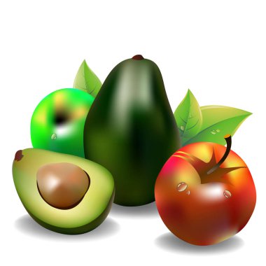 Avokado meyve yeşil vektör yiyecek elma