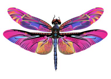 vector color art dragonfly nature wildlife clipart