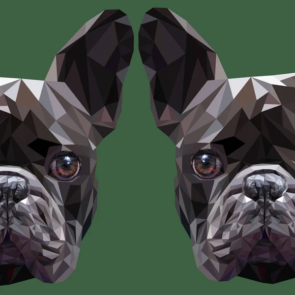 köpek vektör doğurmak şirin evde beslenen hayvan hayvan 