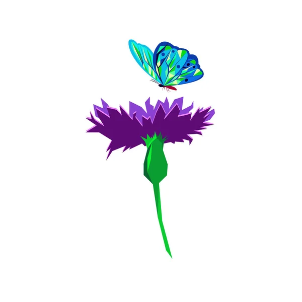 Knapweed fleur sur fond blanc. illustration vectorielle de petites fleurs bleues papillon — Image vectorielle