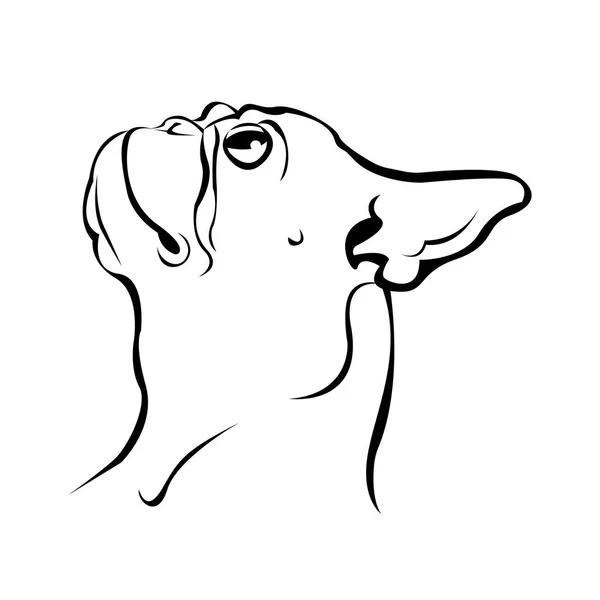 Chien vecteur race mignon animal animal bouledogue français — Image vectorielle