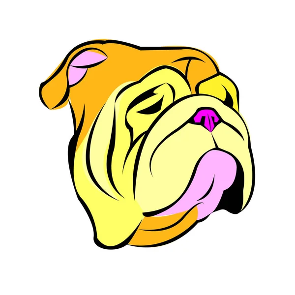 Bulldog Inglés perro raza retrato ilustración cara — Vector de stock
