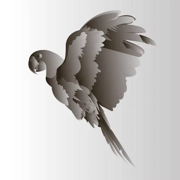 Птица попугая векторная тропический ара красный — стоковый вектор