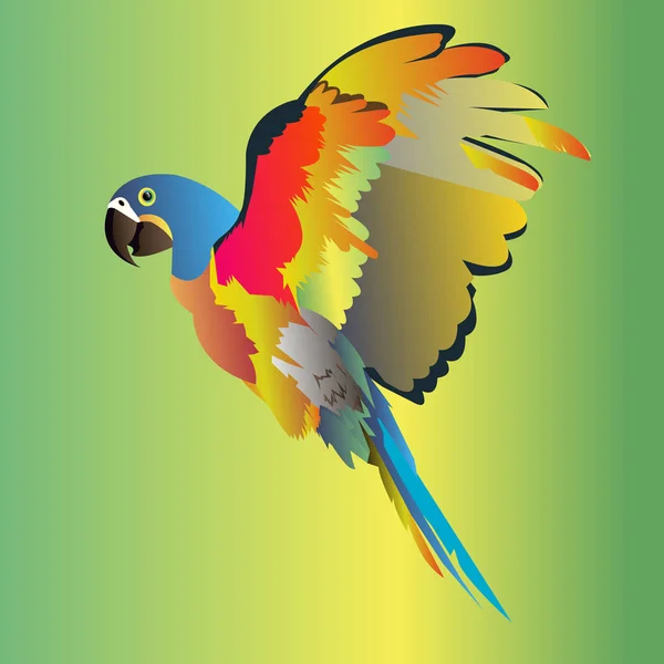Papagaio pássaro vetor tropical arara vermelha — Vetor de Stock