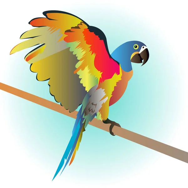 Papegoja fågel vektor tropiska Ara röd — Stock vektor