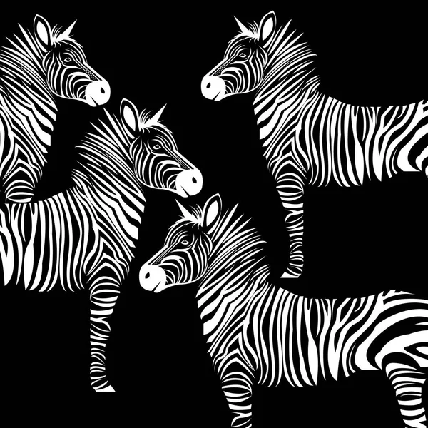 Állati zebra vektoros illusztráció vadon élő emlős fehér fekete állatkert csíkos — Stock Vector