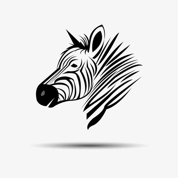 Animal cebra vector ilustración salvaje mamífero blanco negro zoológico rayas — Vector de stock