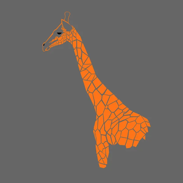 Animal jirafa vector africa ilustración safari mamífero lindo africano dibujos animados alto — Vector de stock