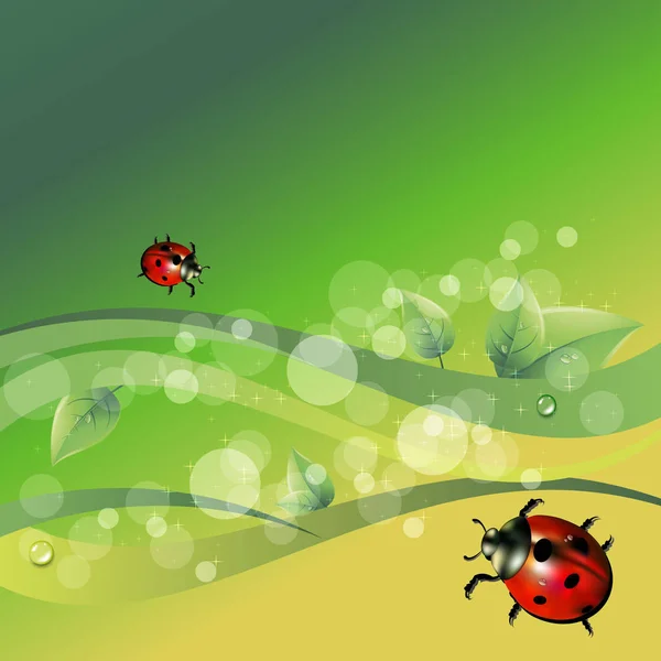 Coccinelle vecteur rouge illustration coléoptère — Image vectorielle