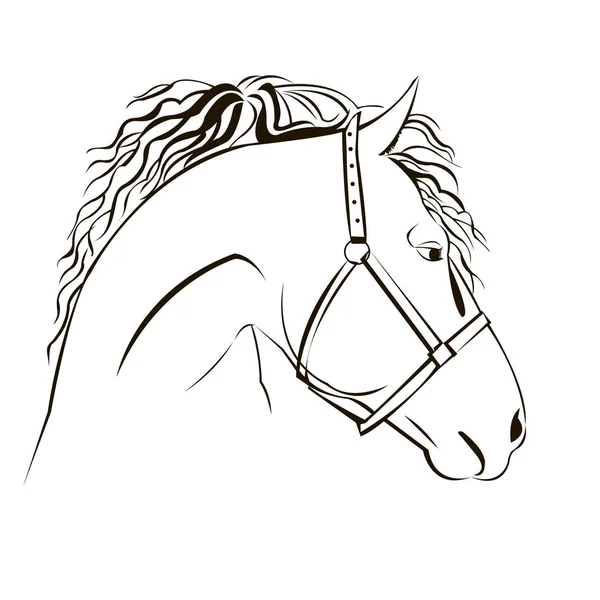Cabeça mustang ícone equestre animal preto — Vetor de Stock
