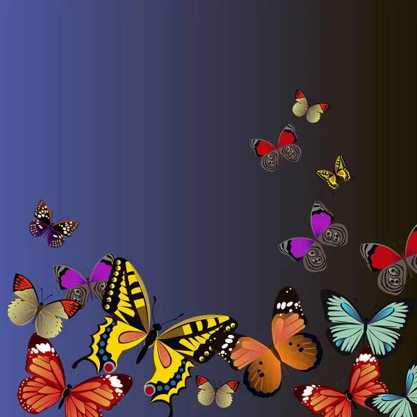 Vektor Schmetterling Insekt Kunst weiß dekorativ — Stockvektor