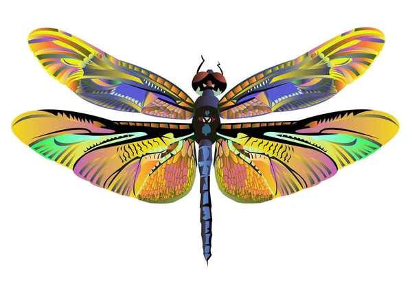 Vector kleur kunst dragonfly natuur wildlife — Stockvector