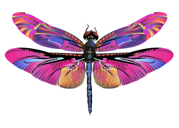 Vetor cor arte libélula natureza vida selvagem — Vetor de Stock
