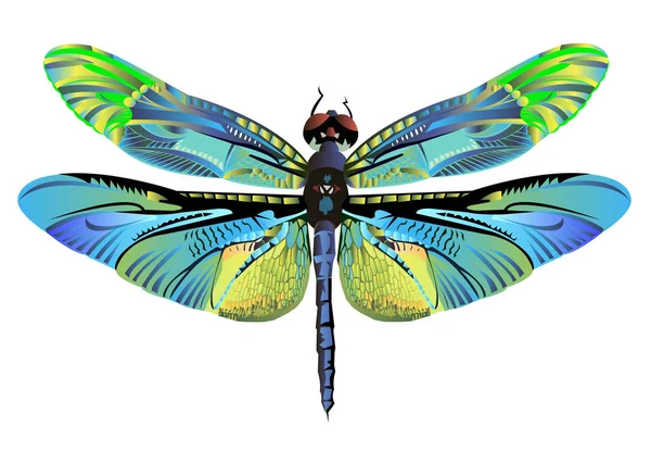Vetor cor arte libélula natureza vida selvagem —  Vetores de Stock
