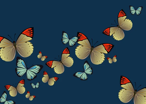 Vector mariposa insecto arte blanco decorativo — Vector de stock