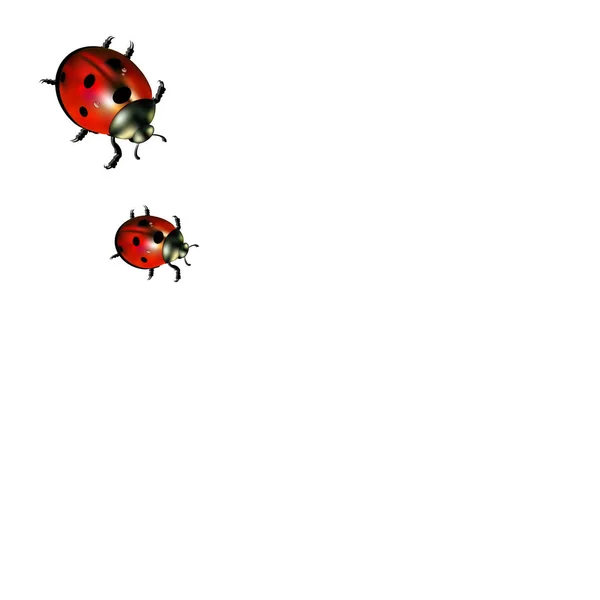 Marienkäfer Vektor rot Abbildung farbigen Käfer — Stockvektor
