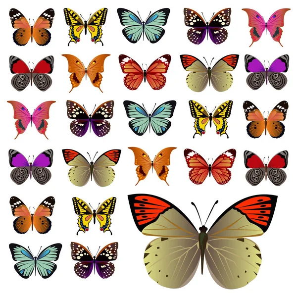 Vetor borboleta inseto arte branco decorativo — Vetor de Stock
