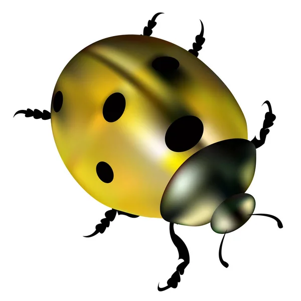Mariquita vector rojo ilustración escarabajo de color — Vector de stock