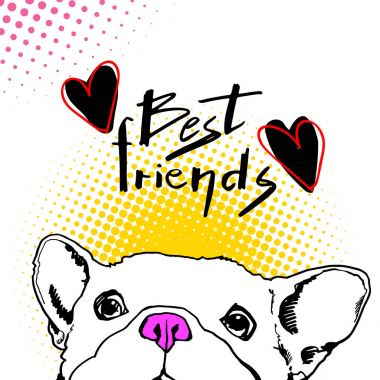 Bulldog, köpek, hayvan, Fransız, vektör, illüstrasyon, Evcil Hayvan, cins