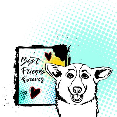 Galce, köpek, corgi, hayvan, illüstrasyon, evde beslenen hayvan, beyaz, kulaklar, doğurmak, pembroke