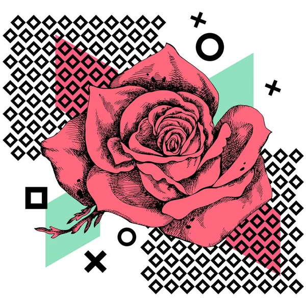 Hand drawn rose vector. Unusual beautiful rose flower.