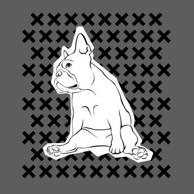 Fransız buldozer. Vektör çizim için bir poster. Şirin köpek. Safkan köpek.