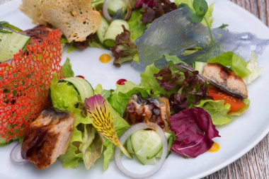 Yılan balığı ile sebze salatası