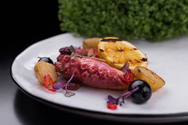 Octopus tentacles with lemon on a white plate