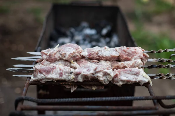 Rauwe Kebab Gekookt Grill Buiten — Stockfoto