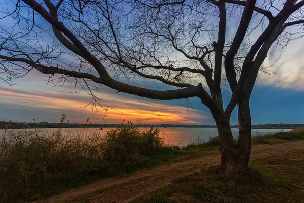 Belo Nascer Sol Lago Com Uma Árvore Uma Estrada Longo — Fotografia de Stock