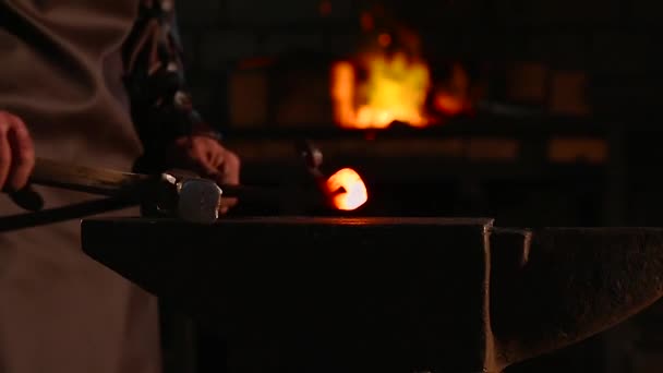 Élément incandescent dans la forge sur l'enclume de fer — Video