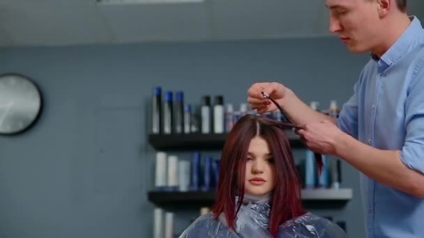 Het kleurenpalet en kies de kleur van het haar. Kapper adviseert de klant de kleur van haarkleurmiddelen — Stockvideo