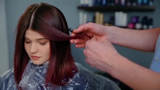 Die Farbpalette, und wählen Sie die Haarfarbe. Friseur berät den Kunden die Farbe der Haarfärbemittel — Stockvideo