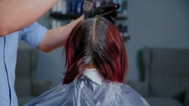 Professional hairdresser color hair girls. Close-up. — Stock Video
