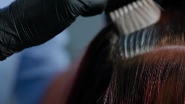 Professional hairdresser color hair girls. Close-up. — Stock Video