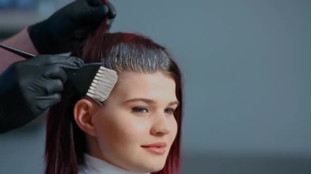 Professional hairdresser color hair girls. Close-up. — Stock Video