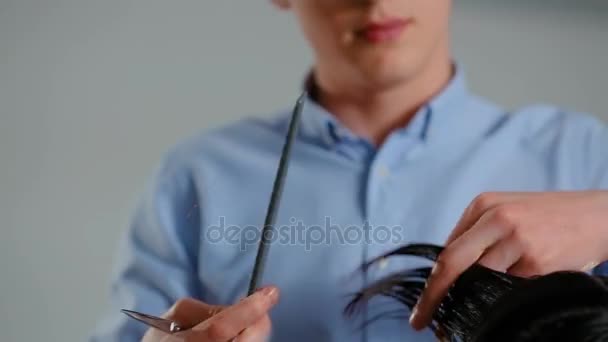 Corte de cabelo das mulheres. cabeleireiro, salão de beleza — Vídeo de Stock