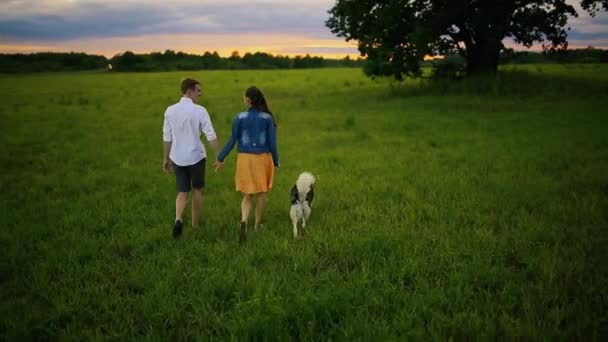 Pareja joven romántica en el parque — Vídeos de Stock