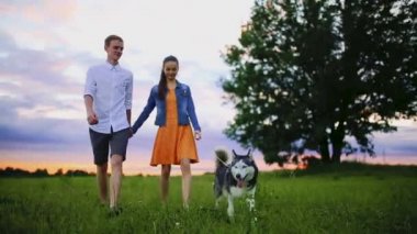 Plajda köpekle oynamayı seven çift. Aşk, hayvan ve yaşam tarzı hakkında kavramı