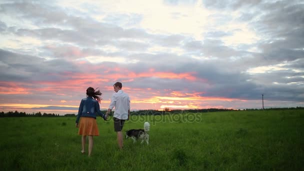 Familj, husdjur, djur och människor koncept - lyckliga paret med labrador retriever hund promenader i stadsparken — Stockvideo