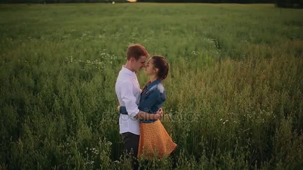 Namorado e namorada beijando no campo — Vídeo de Stock