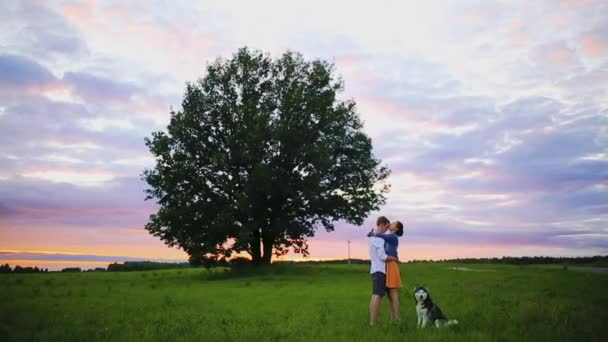 Junges Paar küsst sich vor dem Hintergrund eines Sonnenuntergangs auf dem Feld — Stockvideo