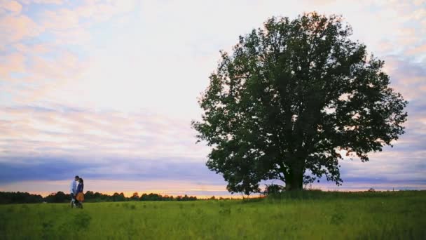 Young couple kissing on the background of a sunset in the field — Stock Video