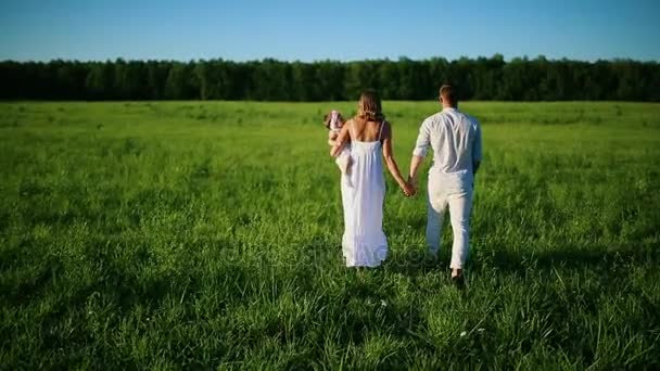 Família feliz. Pai mãe e uma menina, andando em um campo vestido de branco sob os raios do sol poente — Vídeo de Stock