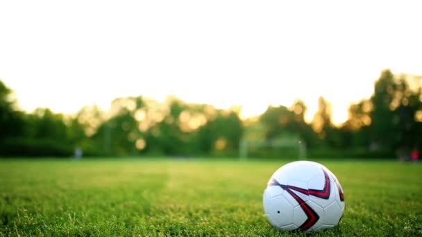关闭了腿和脚的行动穿着黑鞋子运行和运球在孤立在黑色背景上的绿色草地球场上玩球的足球运动员 — 图库视频影像